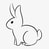 RabbitOfTheYear