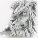 GOG profile picture for @Narasimha
