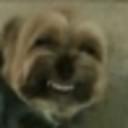 GOG profile picture for @Region