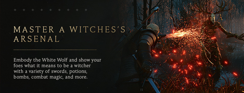 The Witcher 3: Wild Hunt — Remastered