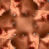 SirPrimalform