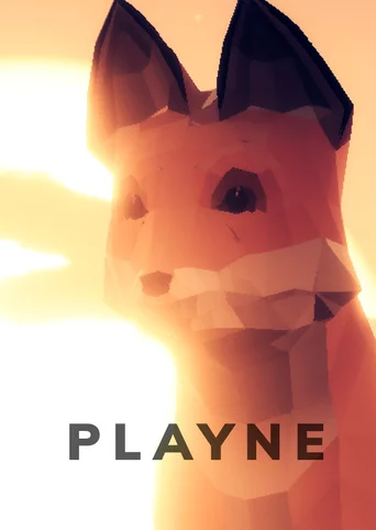 Playne