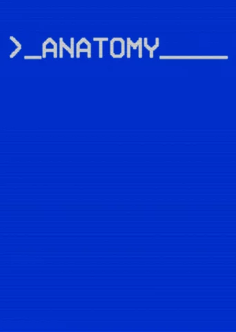 Anatomy