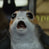 Alex_86_UK