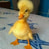 DuckThePato