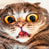 Ariel_Linx