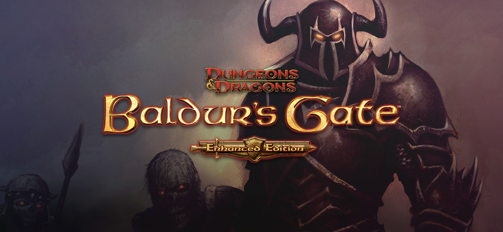 Baldur's Gate: Enhanced Edition cover