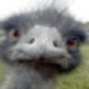 GOG profile picture for @Auntie