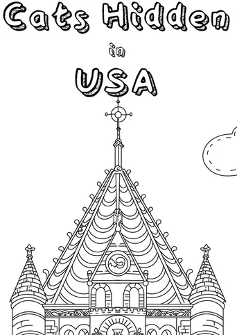 Cats Hidden in USA