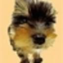 GOG profile picture for @yorkshire