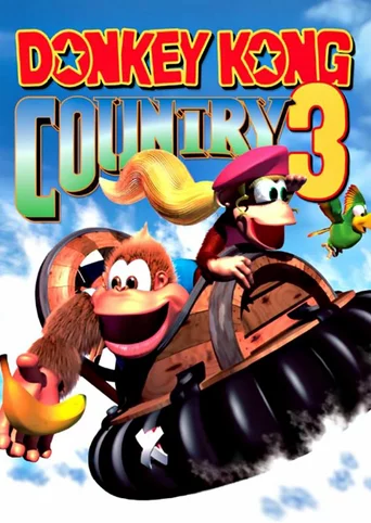 Donkey Kong Country 3