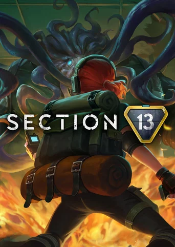 Section 13