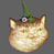 my name is magike catte