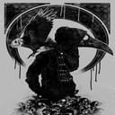 GOG profile picture for @arched