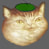 my name is coole catte