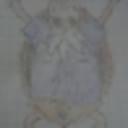 GOG profile picture for @Oisin