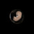 a_small_embryo