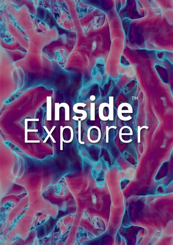 Inside Explorer