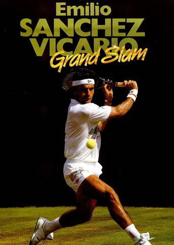 Emilio Sanchez Vicario Grand Slam