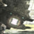 EnergySpittinGecko
