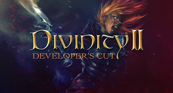Divinity 2: Developer's Cut