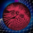 rogue_planet