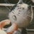Xarion_99