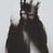 CARRiON-XCII