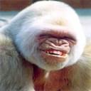 GOG profile picture for @Nouman1