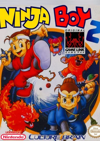 Ninja Boy 2