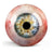 Unseen_Eye_7