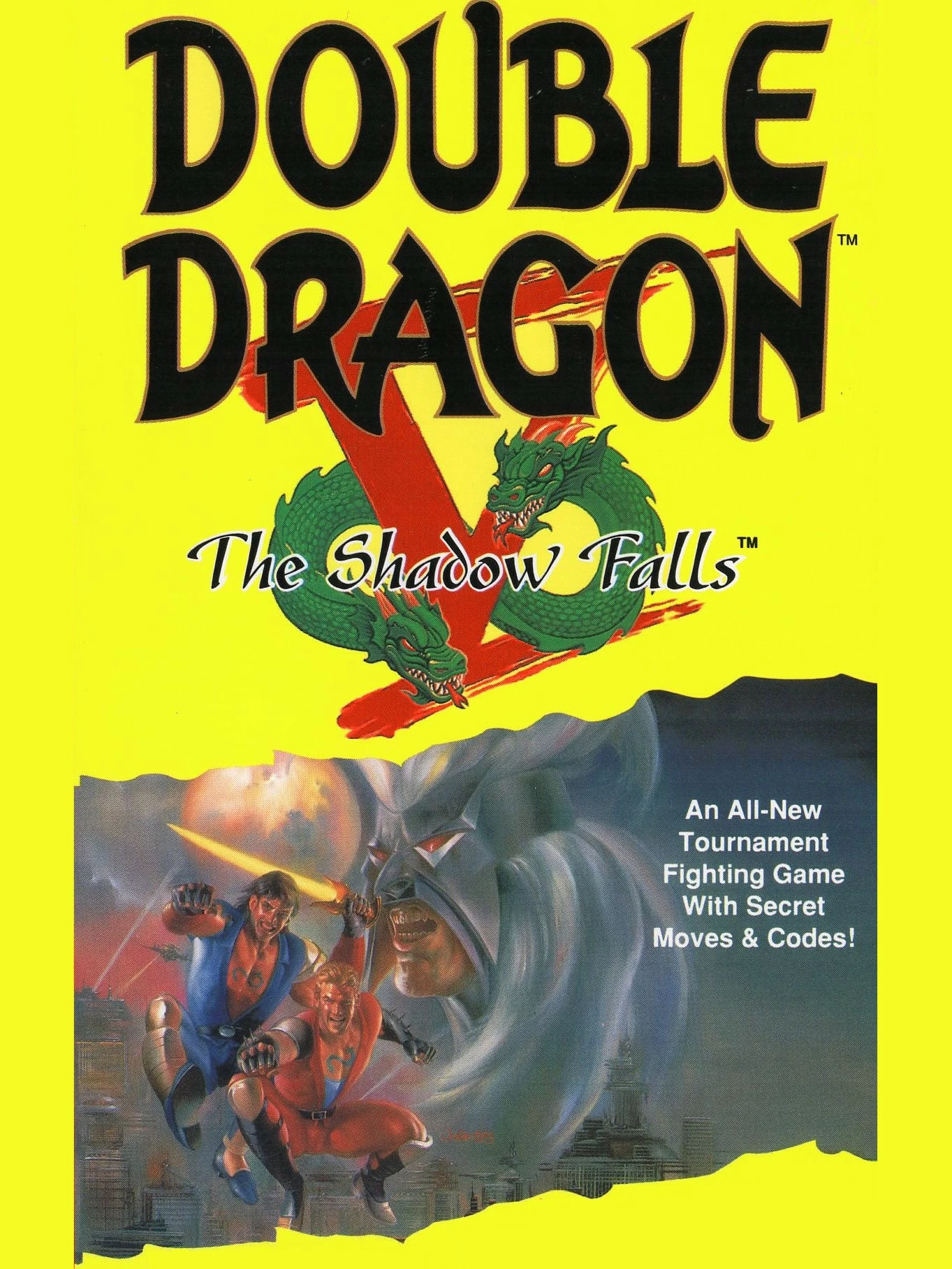 Double Dragon V: The Shadow Falls