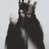 CARRiON-XCII