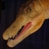 Baryonyx6