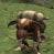 aniki.is.a.leecher