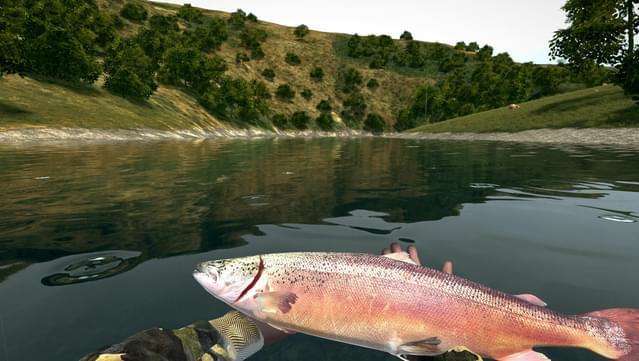 Fly fishing simulator free download windows 10