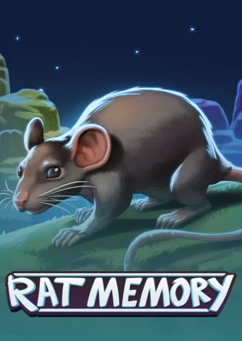 Rat Memory