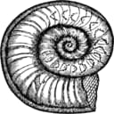 GOG profile picture for @Fossils