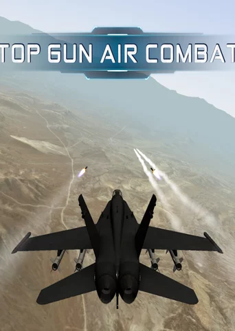 Top Gun Air Combat