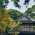 中文论坛围观群众