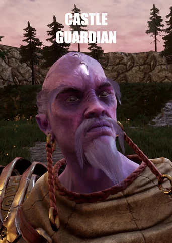 Castle Guardian