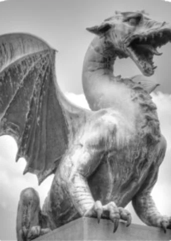 Choice of the Dragon