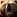 Aerialbear's avatar