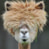 SquishyAlpaca74