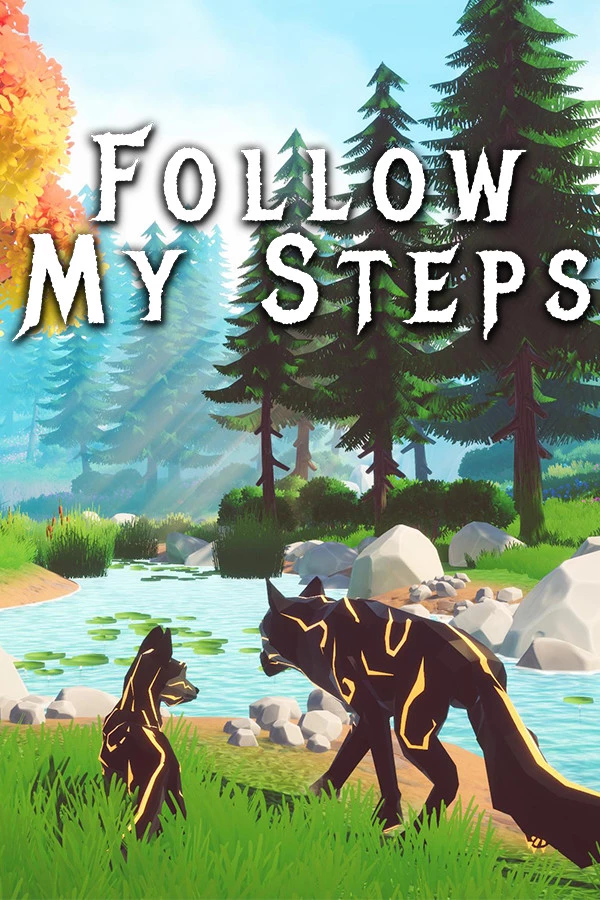 Follow My Steps