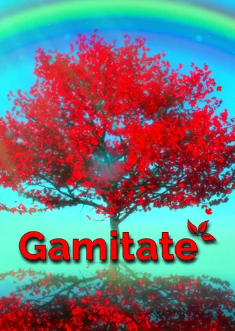 Gamitate the Meditation Game
