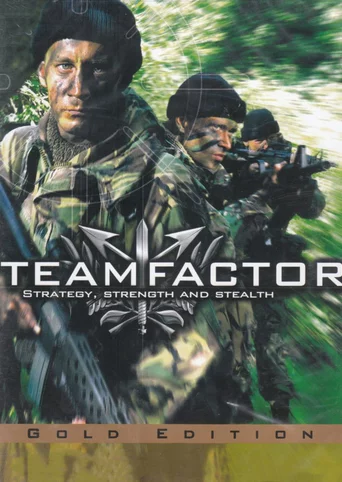 Team Factor