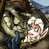 Sheroth