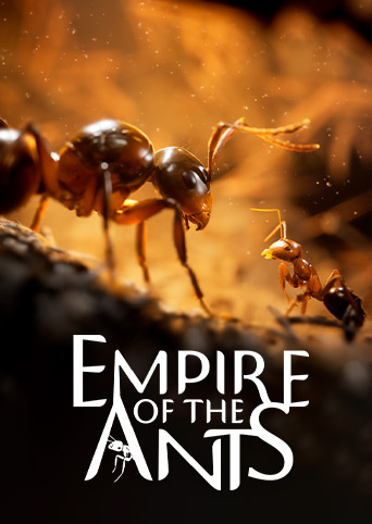 Empire of the Ants Cover