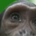GOG profile picture for @Chimp